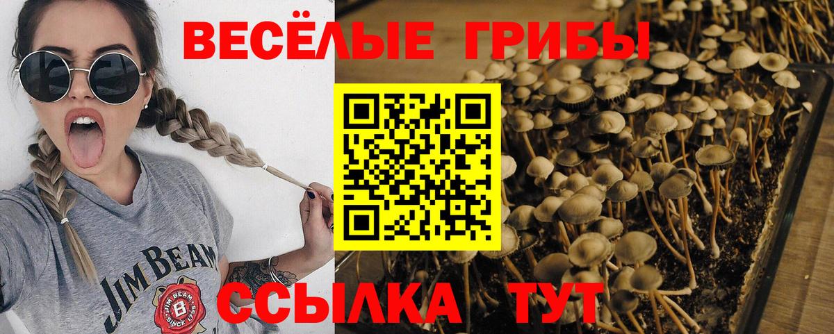 Галлюциногенные грибы ЛСД  даркнет сайт  Миллерово  Вход с VPN 
